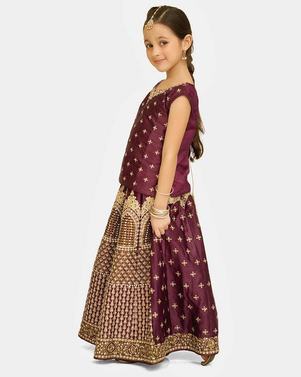 Lehenga Choli